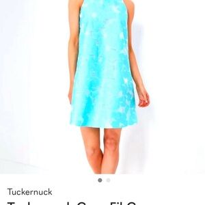 Tuckernuck Aqua Dress